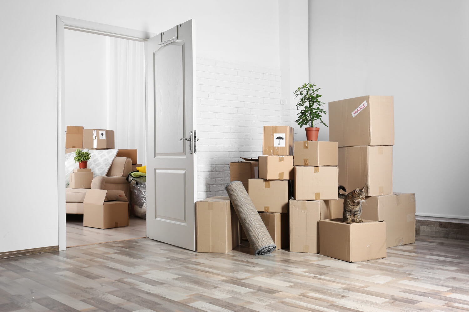 What Not To Pack When Moving